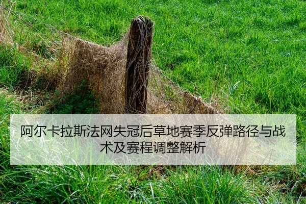 a-er-ka-la-si-fa-wang-shi-guan-hou-cao-di-sai-ji-fan-tan-lu-jing-yu-zhan-shu-ji-sai-cheng-tiao-zheng-jie-xi-2-713.jpg