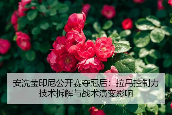 an-xi-ying-yin-ni-gong-kai-sai-duo-guan-hou-la-diao-kong-zhi-li-ji-shu-chai-jie-yu-zhan-shu-yan-bian-ying-xiang-2-822.jpg