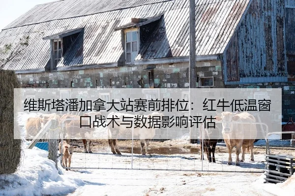 维斯塔潘加拿大站赛前排位：红牛低温窗口战术与数据影响评估